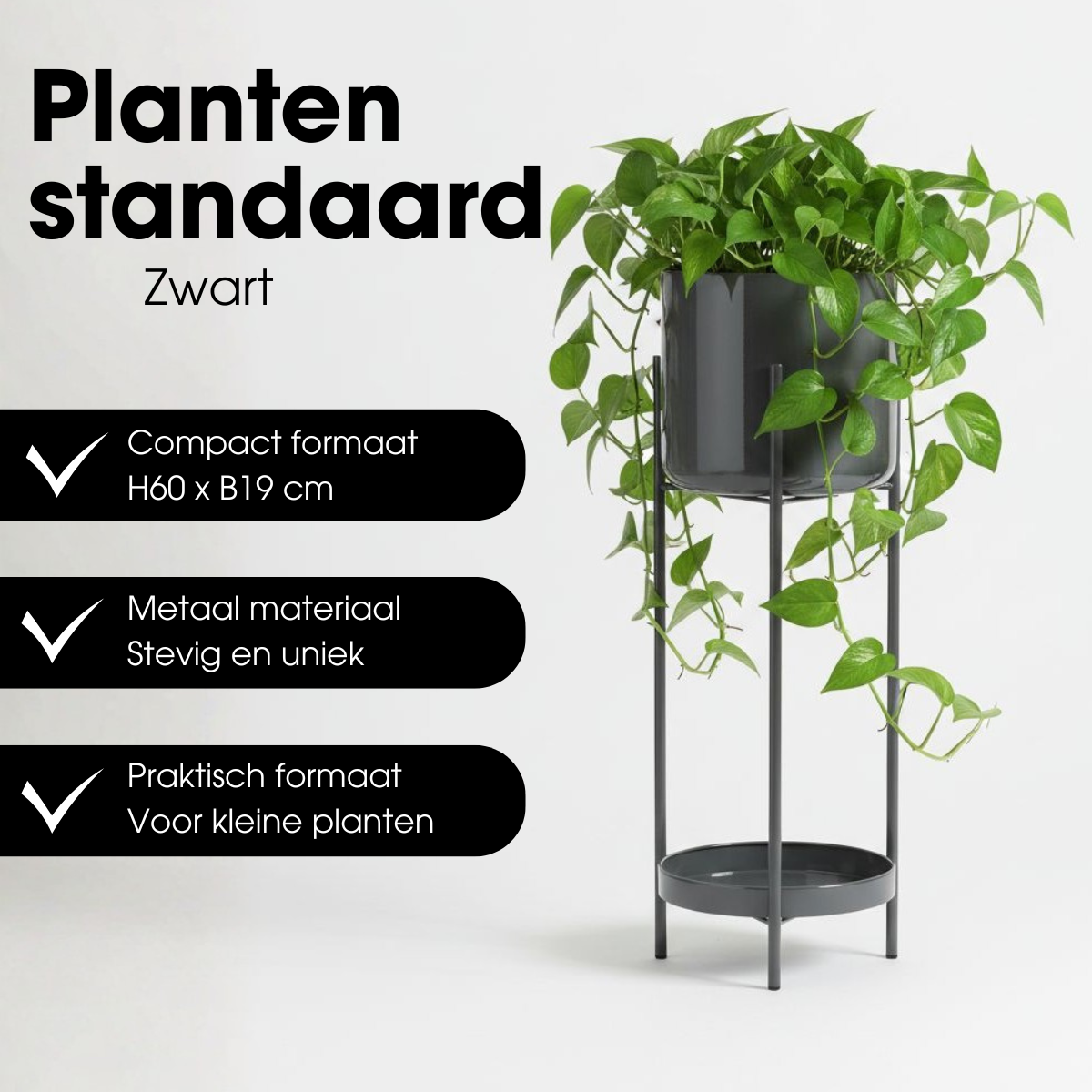 Bloempot binnen Colyn Zwart Mica Decorations