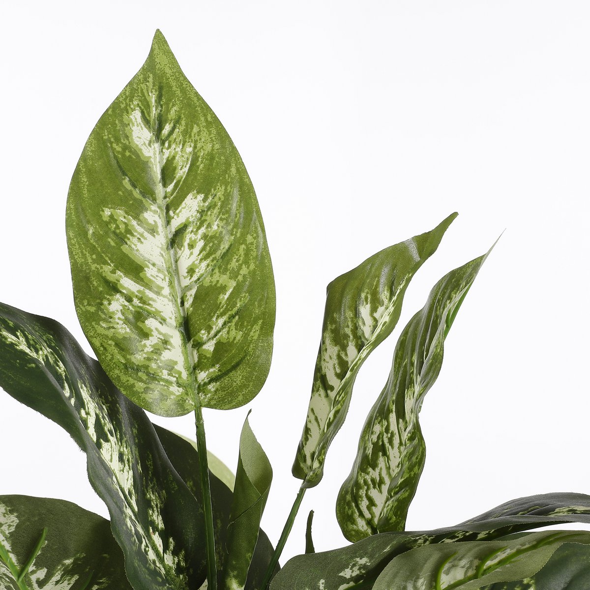Dieffenbachia Kunstplant in Bloempot Stan - H70 x Ø55 cm - Groen Mica Decorations