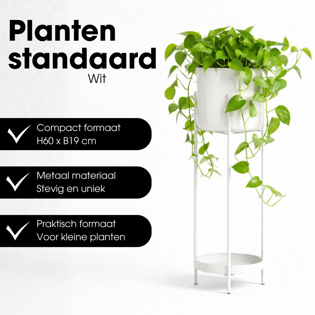 Bloempot binnen Colyn Wit Mica Decorations
