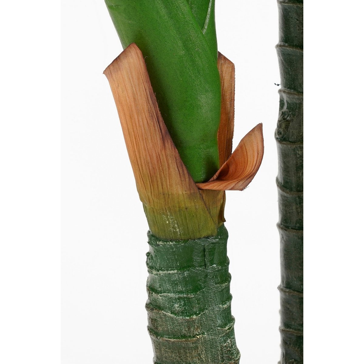 Kunstplant Dieffenbachia Groen Mica Decorations