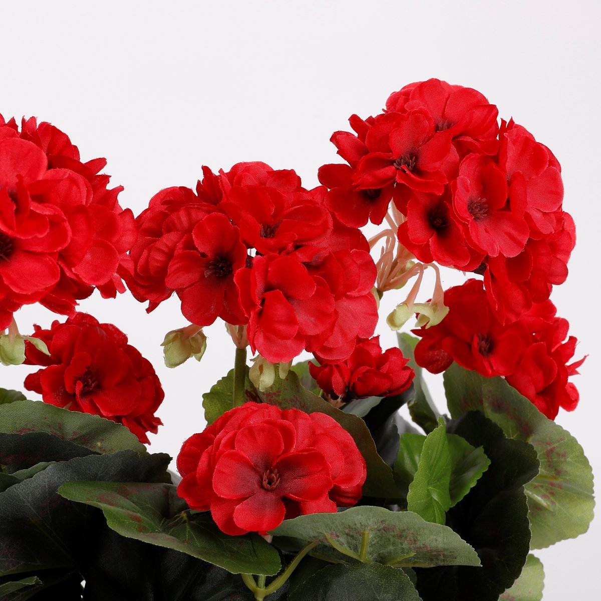 Geranium Kunstplant in Balkonbak - L29 x B13 x H40 cm - Rood Mica Decorations