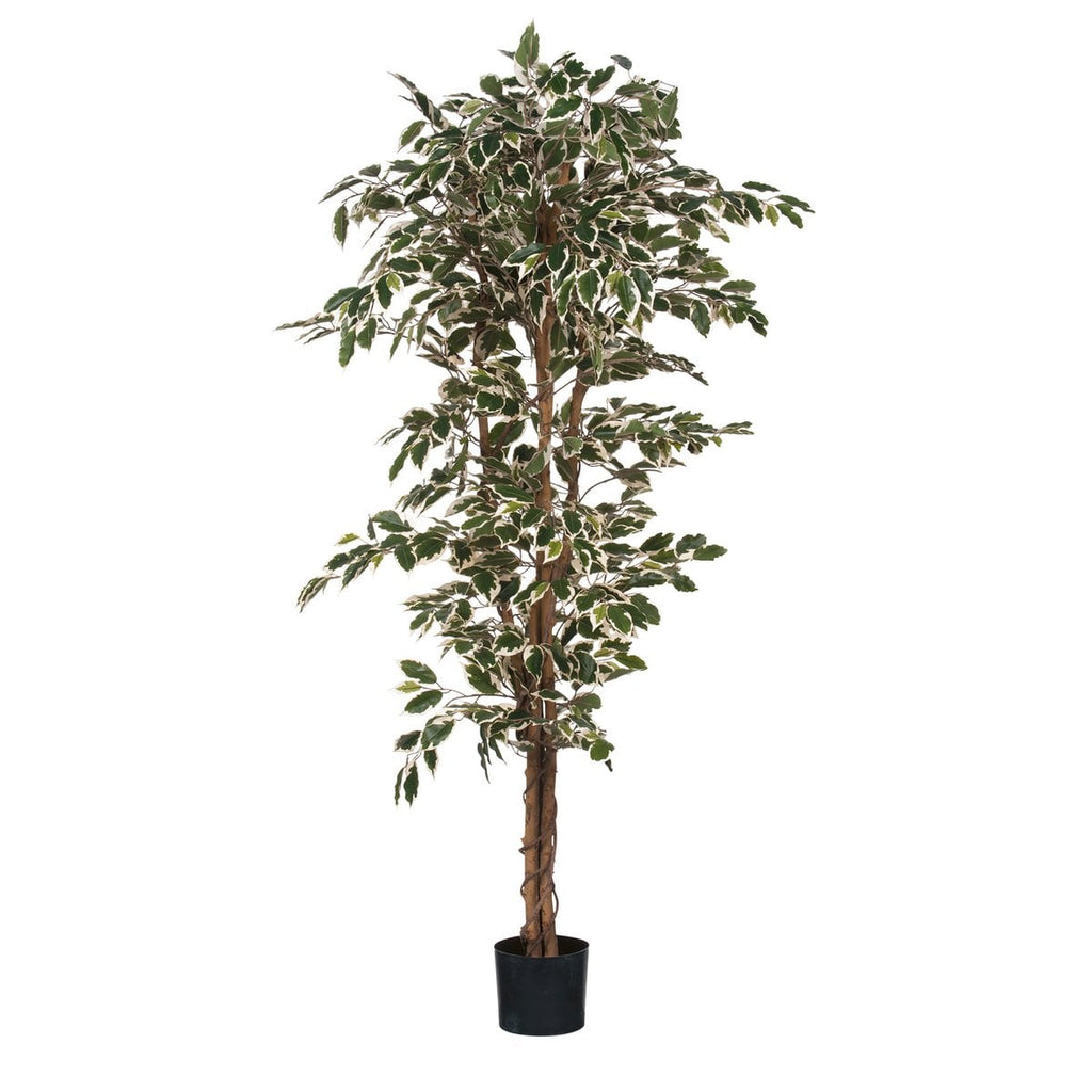 Kunstplant Ficus Groen Mica Decorations