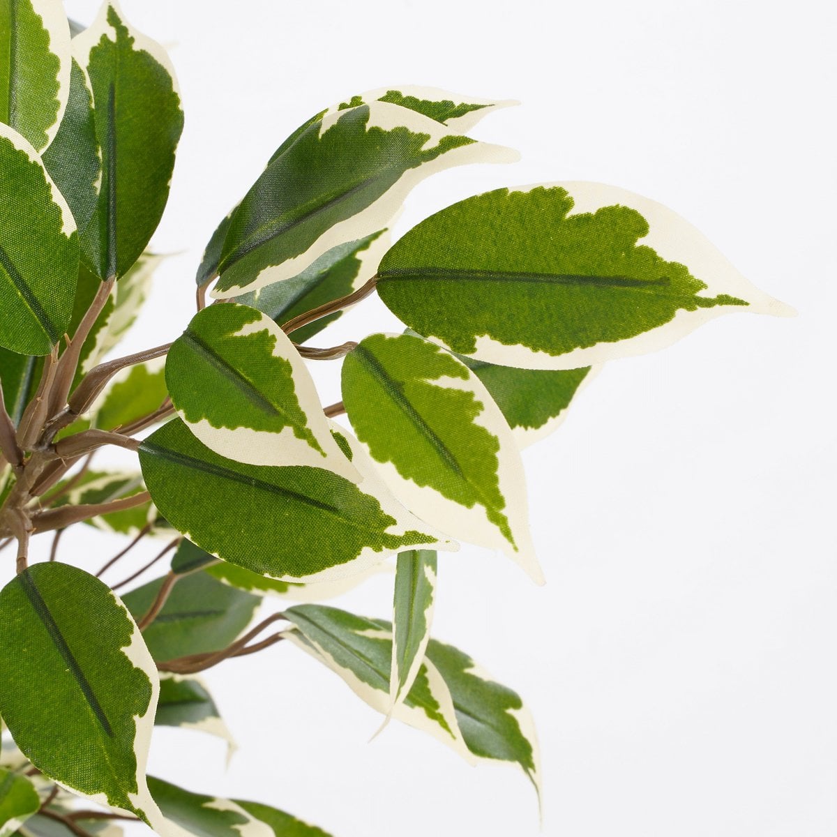 Kunstplant Ficus natasja Groen Mica Decorations