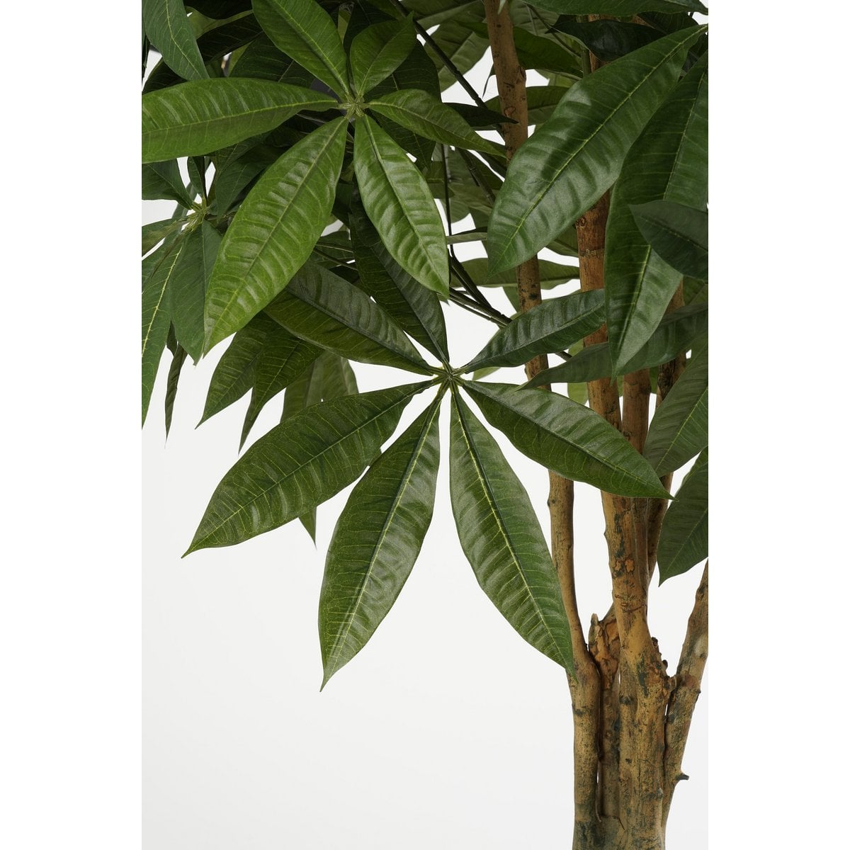 Kunstplant Pachira Groen Mica Decorations
