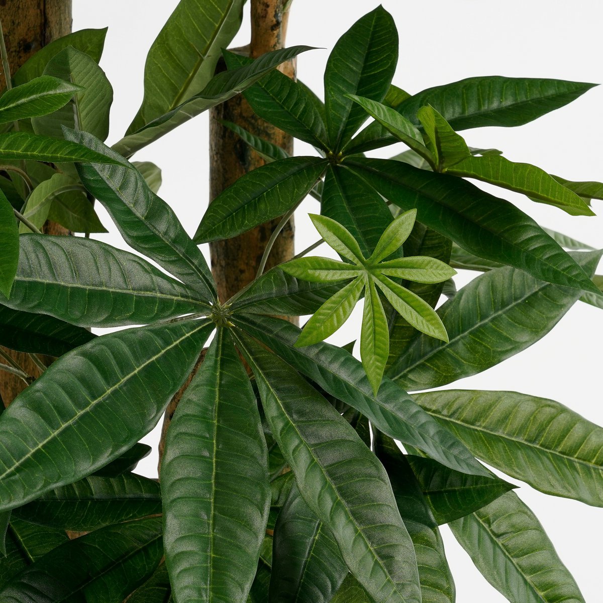 Kunstplant Pachira Groen Mica Decorations