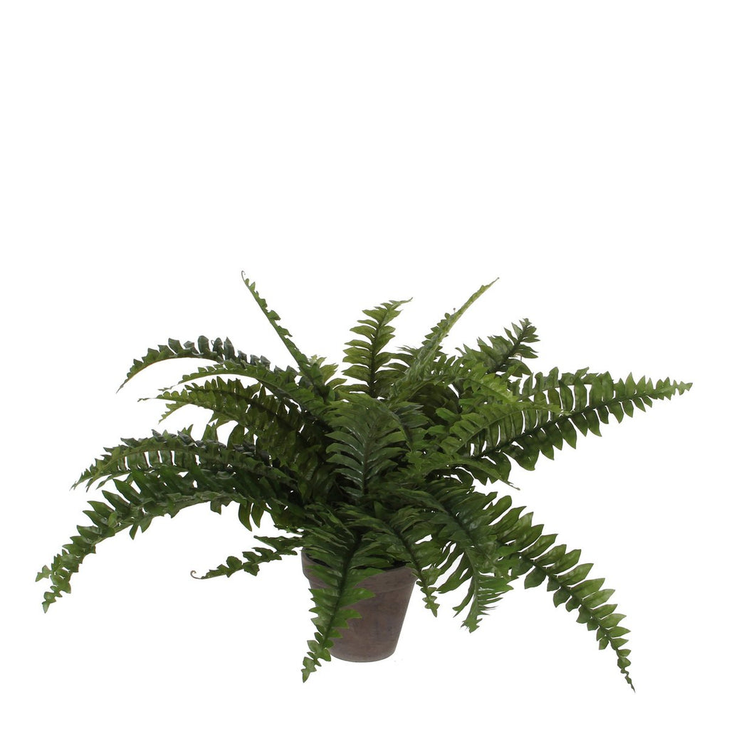 Kunstplant Boston fern Groen Mica Decorations