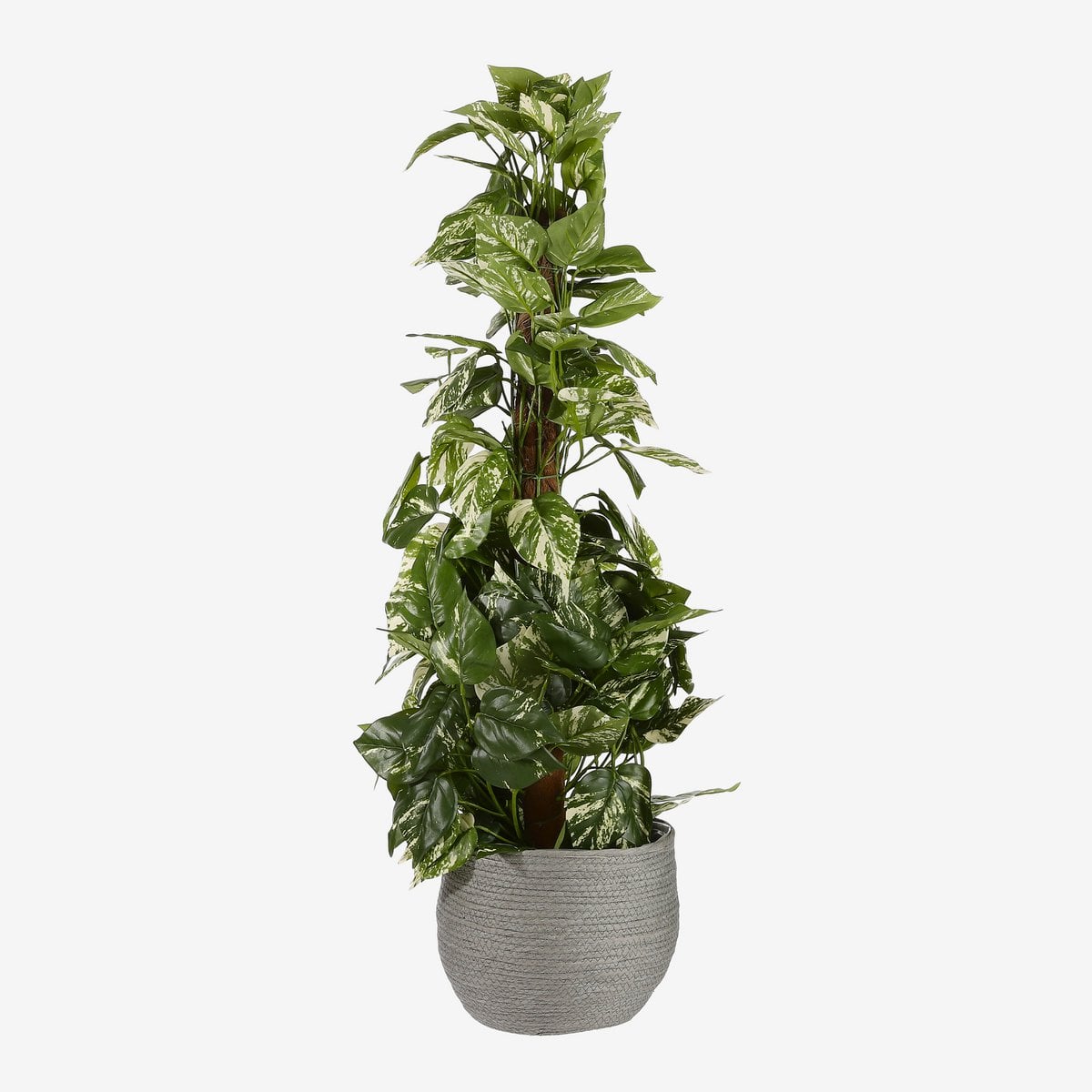 Plantenmand set Jorck Grijs Mica Decorations