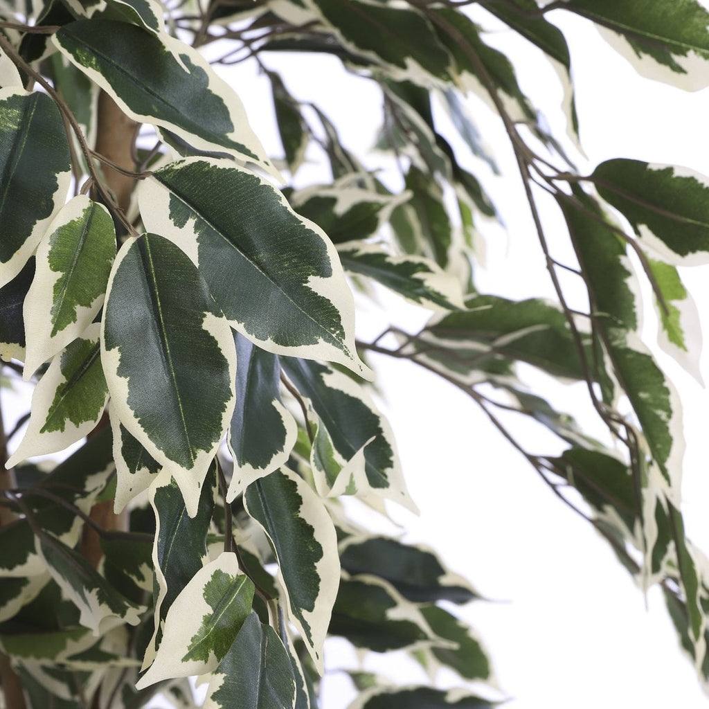 Kunstplant Ficus Groen Mica Decorations