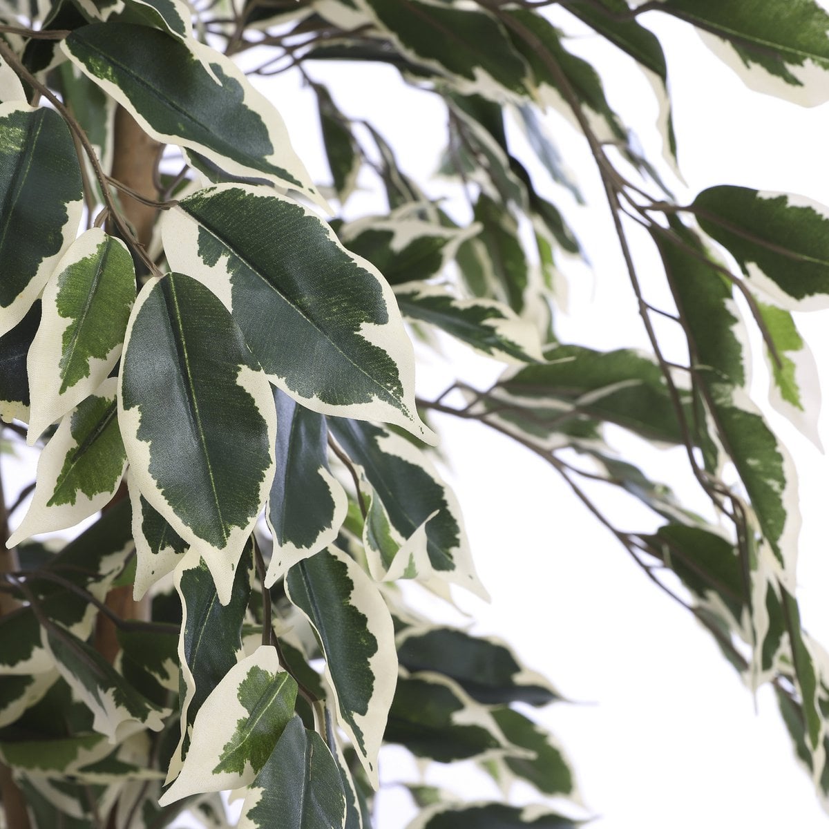 Kunstplant Ficus Groen Mica Decorations
