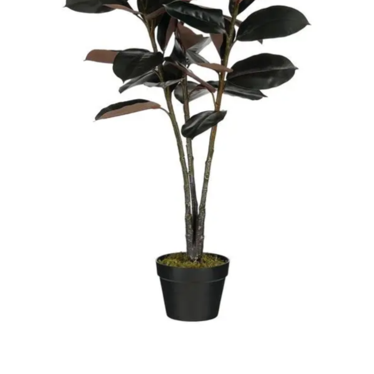 Kunstplant Rubberplant Rood Mica Decorations