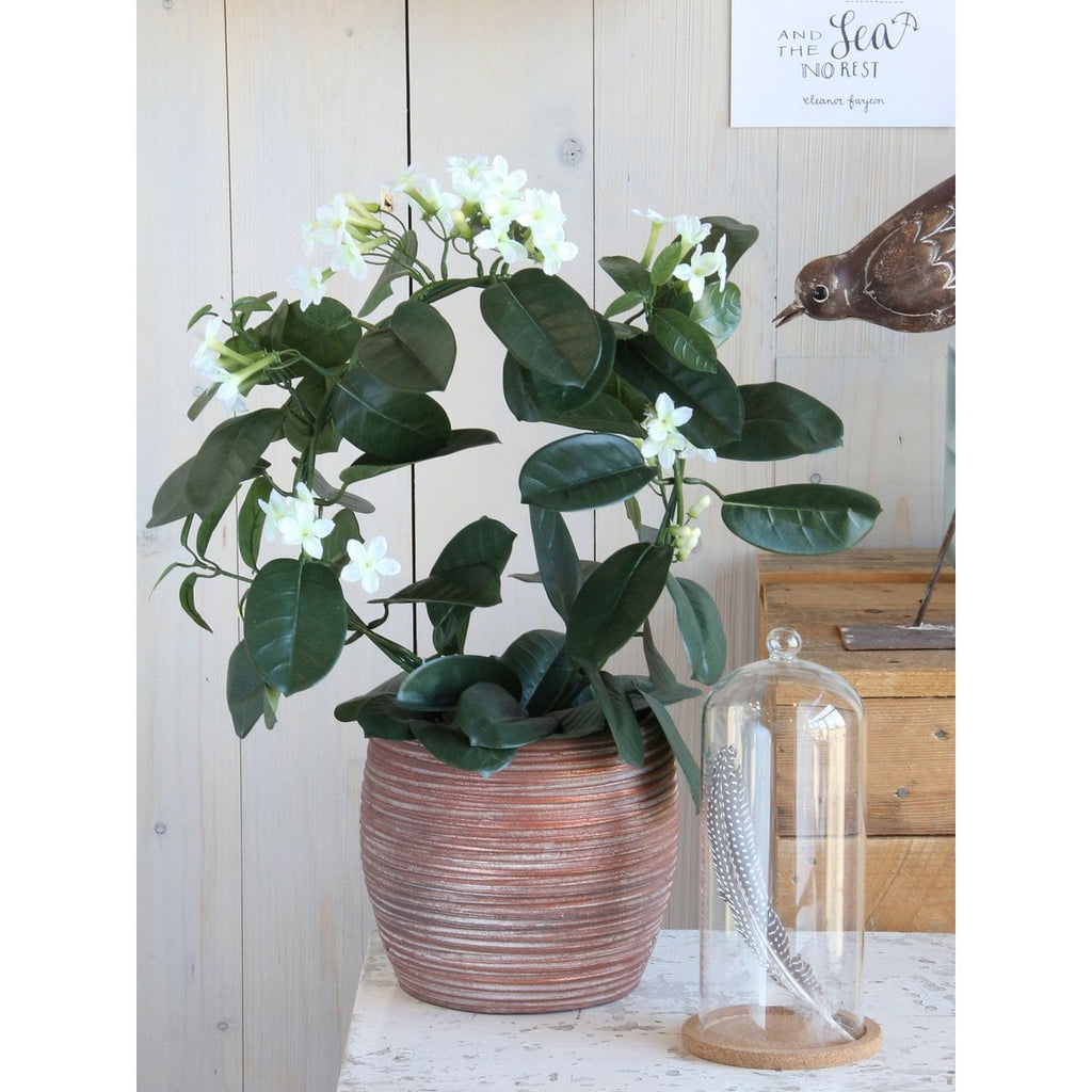 Kunstplant Stephanotis Wit Mica Decorations