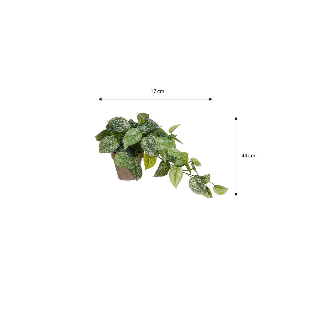 Kunst hangplant Scindapsus Groen Mica Decorations