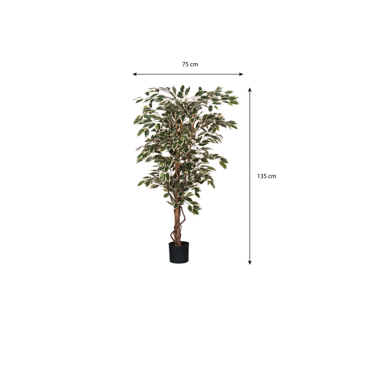 Ficus Kunstplant - H150 x Ø75 cm - Groen Bont