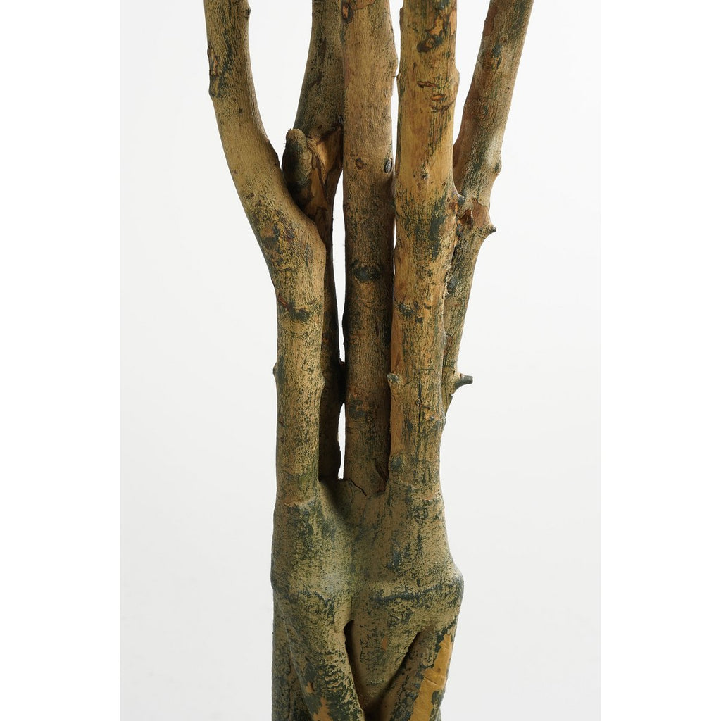 Kunstplant Pachira Groen Mica Decorations