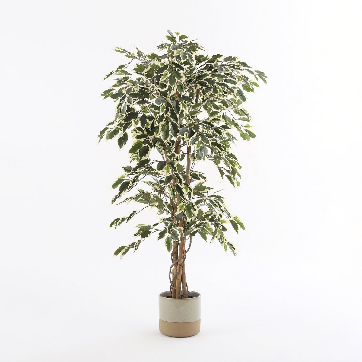 Kunstplant Ficus Groen Mica Decorations