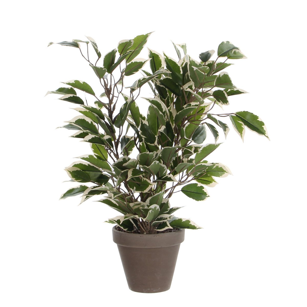 Kunstplant Ficus natasja Groen Mica Decorations