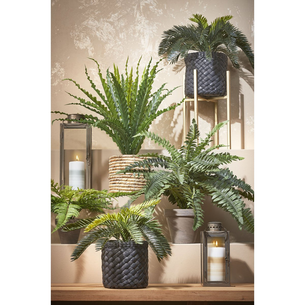 Kunstplant Asplenium Groen Mica Decorations