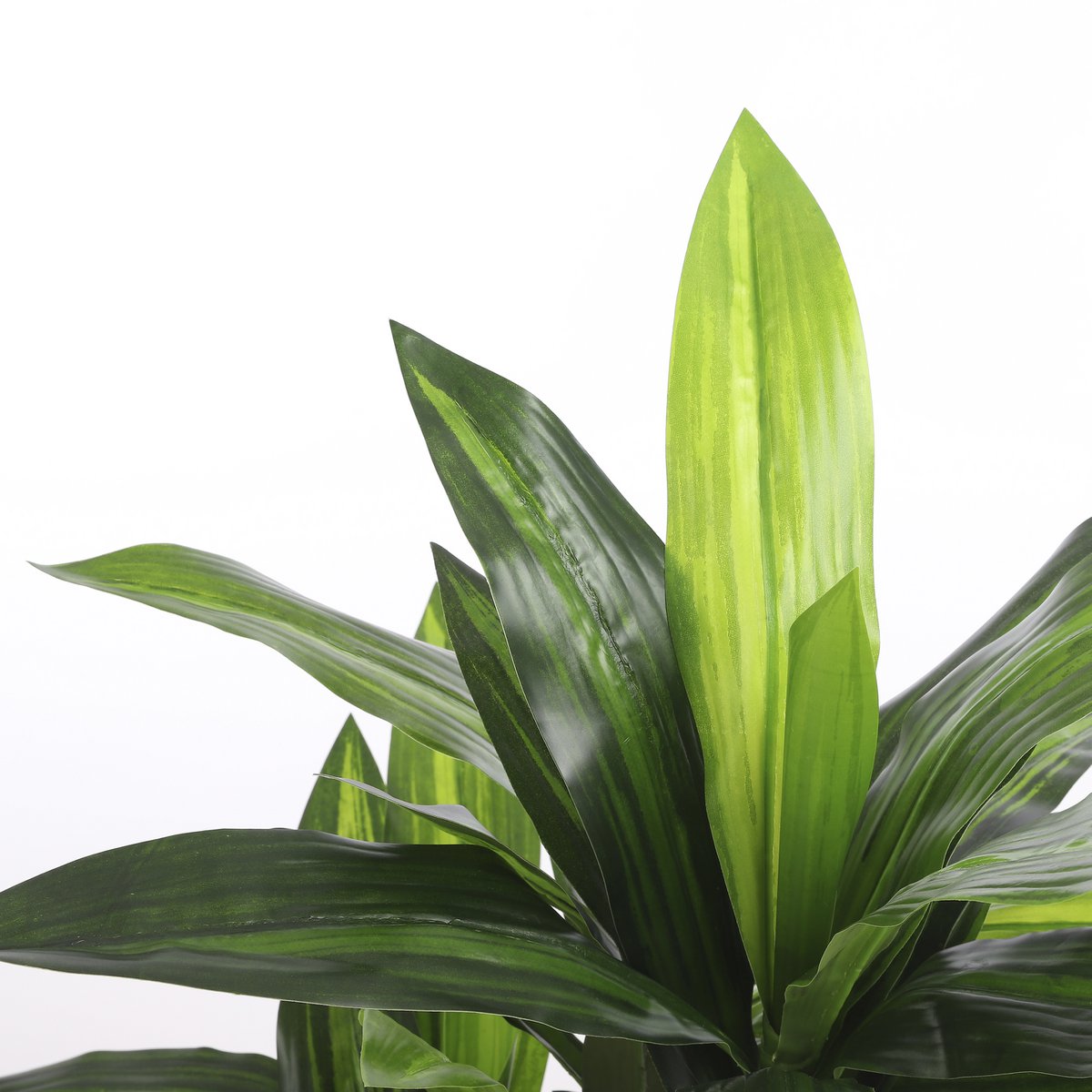 Dracaena Kunstplant - H110 x Ø60 cm Mica Decorations