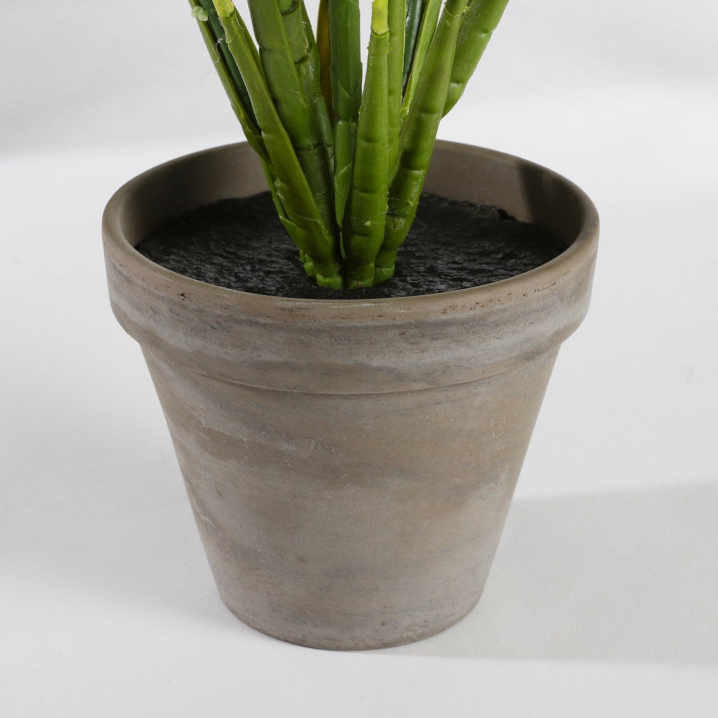 Kunstplant Evergreen Groen Mica Decorations
