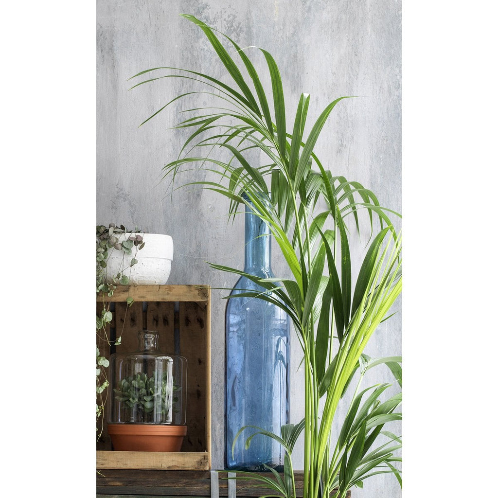 Decoratieve fles Rioja Lichtblauw Mica Decorations