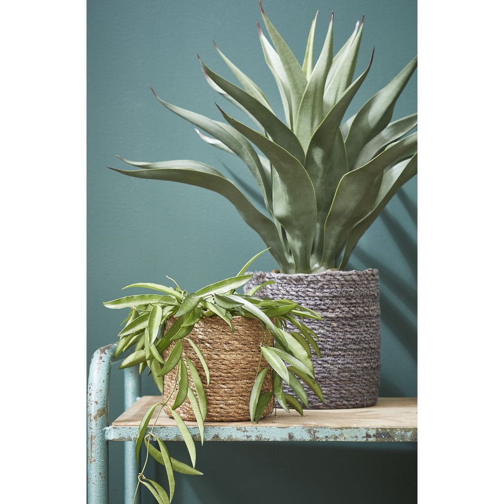 Plantenmand set Atlantic Lichtbruin Mica Decorations