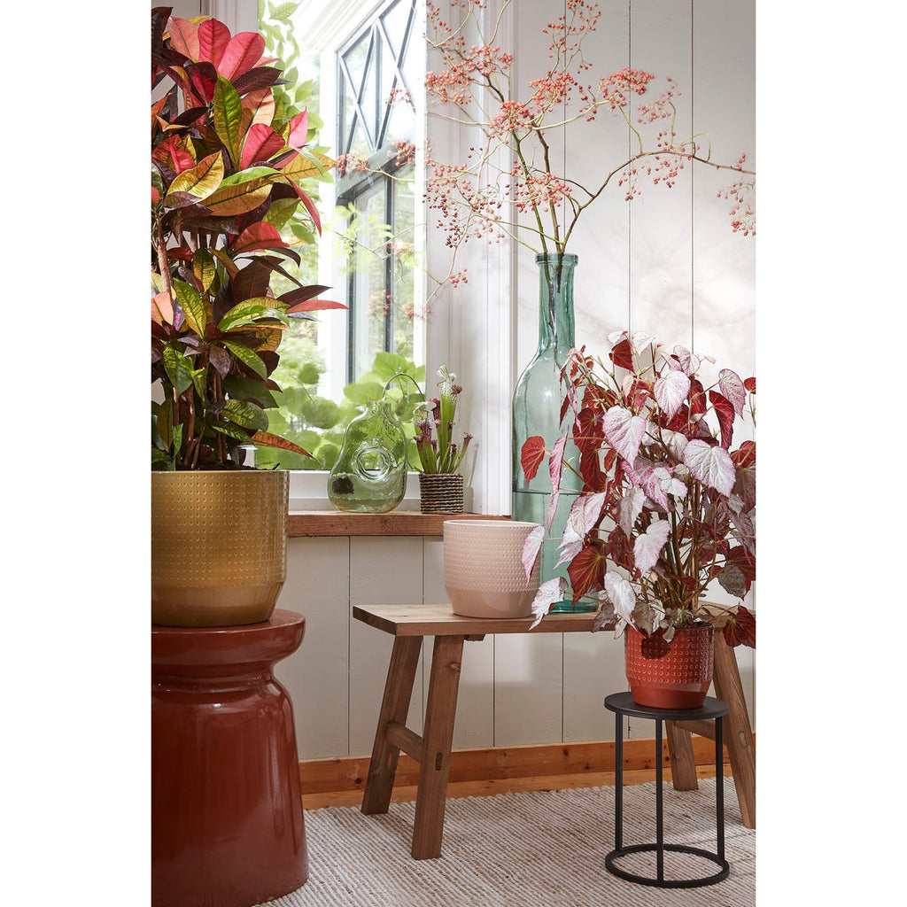 Rioja Fles Vaas - H100 x Ø21 cm - Gerecycled Glas - Transparant