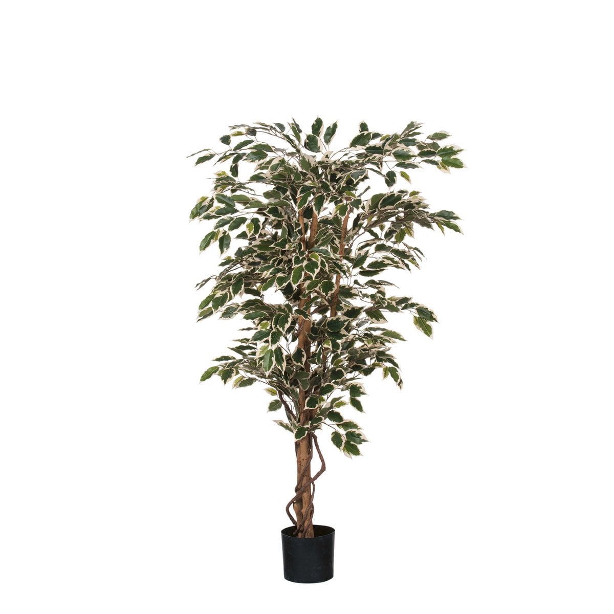 Kunstplant Ficus Groen Mica Decorations