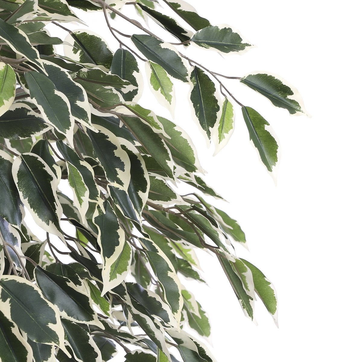 Kunstplant Ficus Groen Mica Decorations