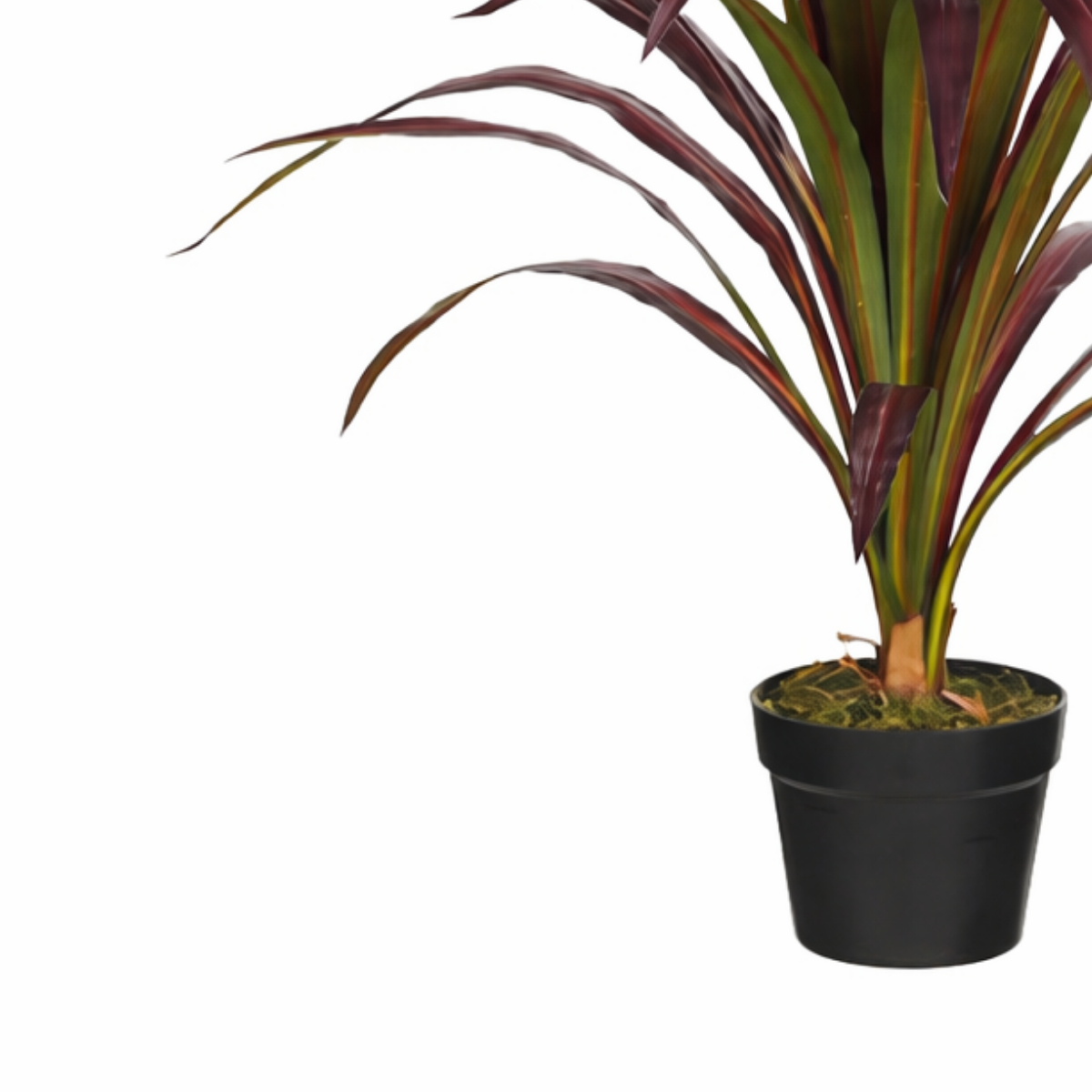 Kunstplant Bananenboom Rood Mica Decorations