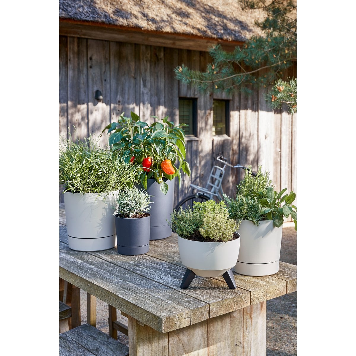 Plantenbak buiten Doppio Beige Mica Decorations