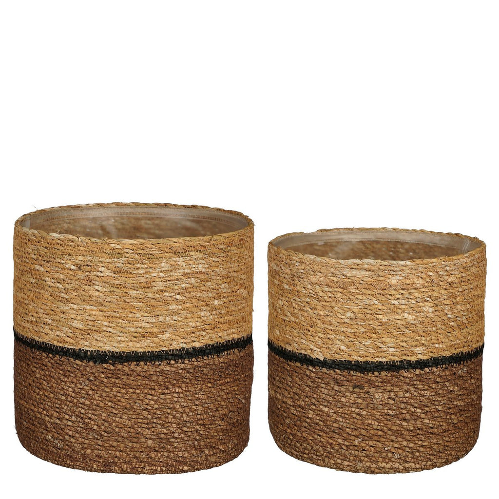 Damian Plantenmand - Set van 2 - H20 x Ø20 cm - Zeegras - Bruin