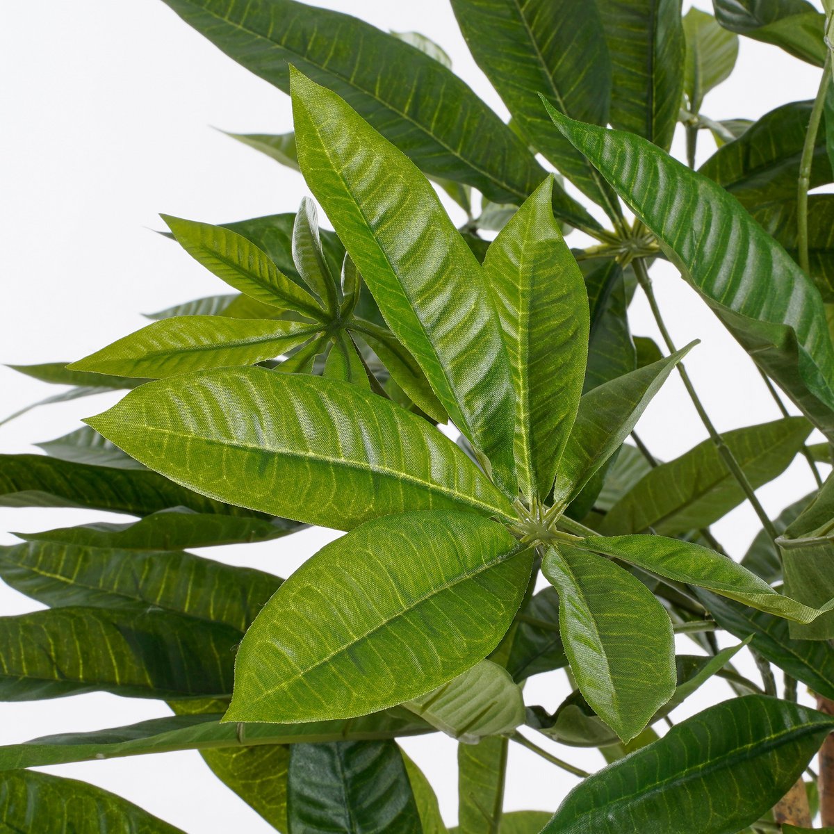 Kunstplant Pachira Groen Mica Decorations