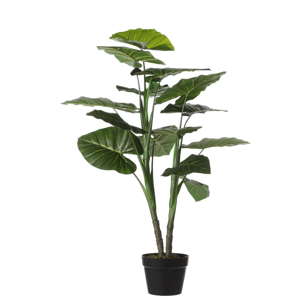 Kunstplant Taro Groen Mica Decorations
