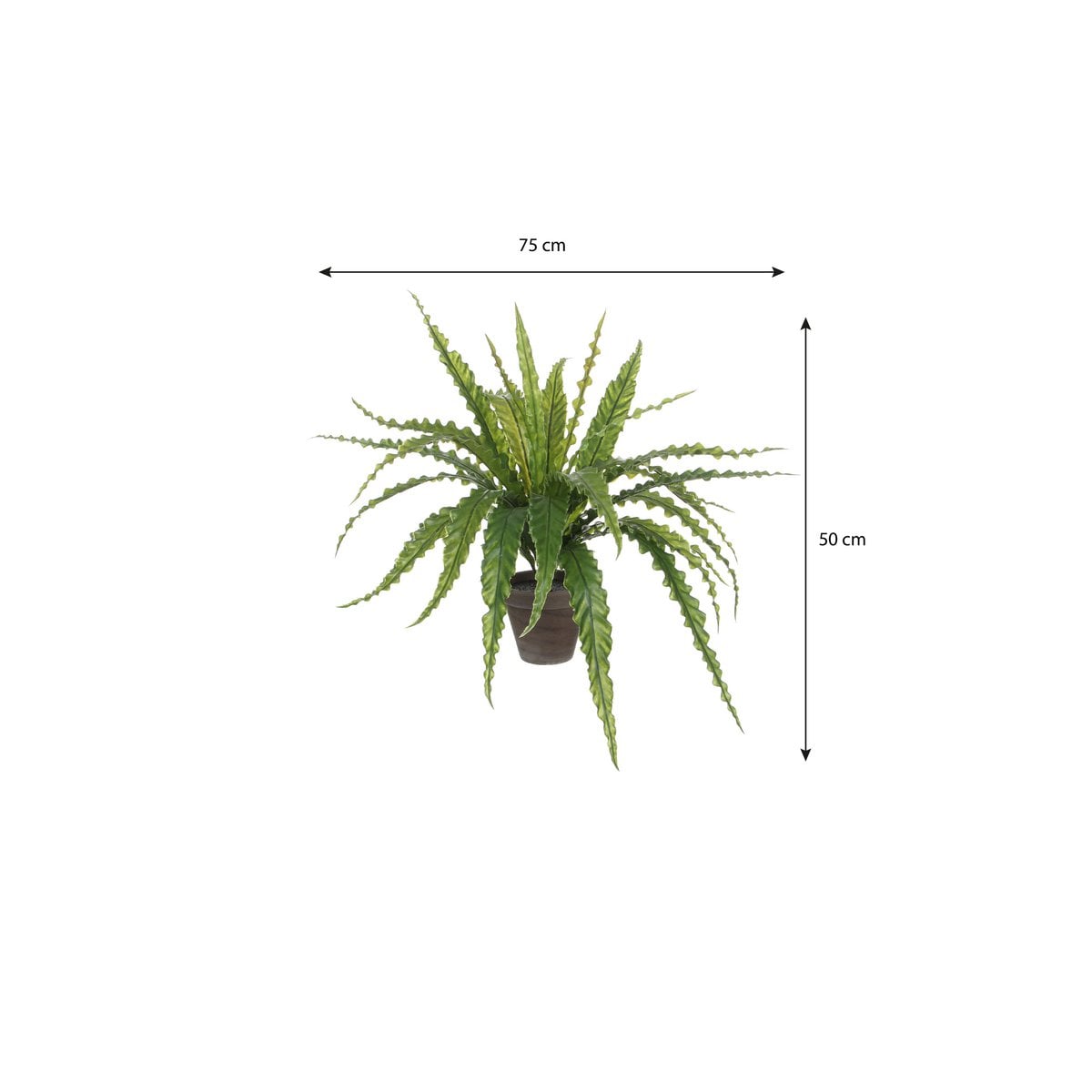 Kunstplant Asplenium Groen Mica Decorations