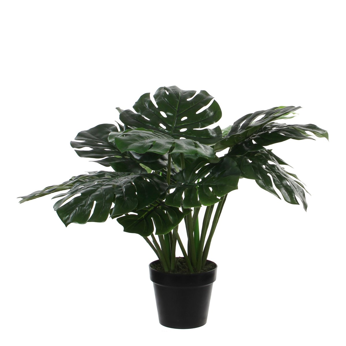 Monstera Kunstplant - H60 x Ø80 cm - Groen Mica Decorations