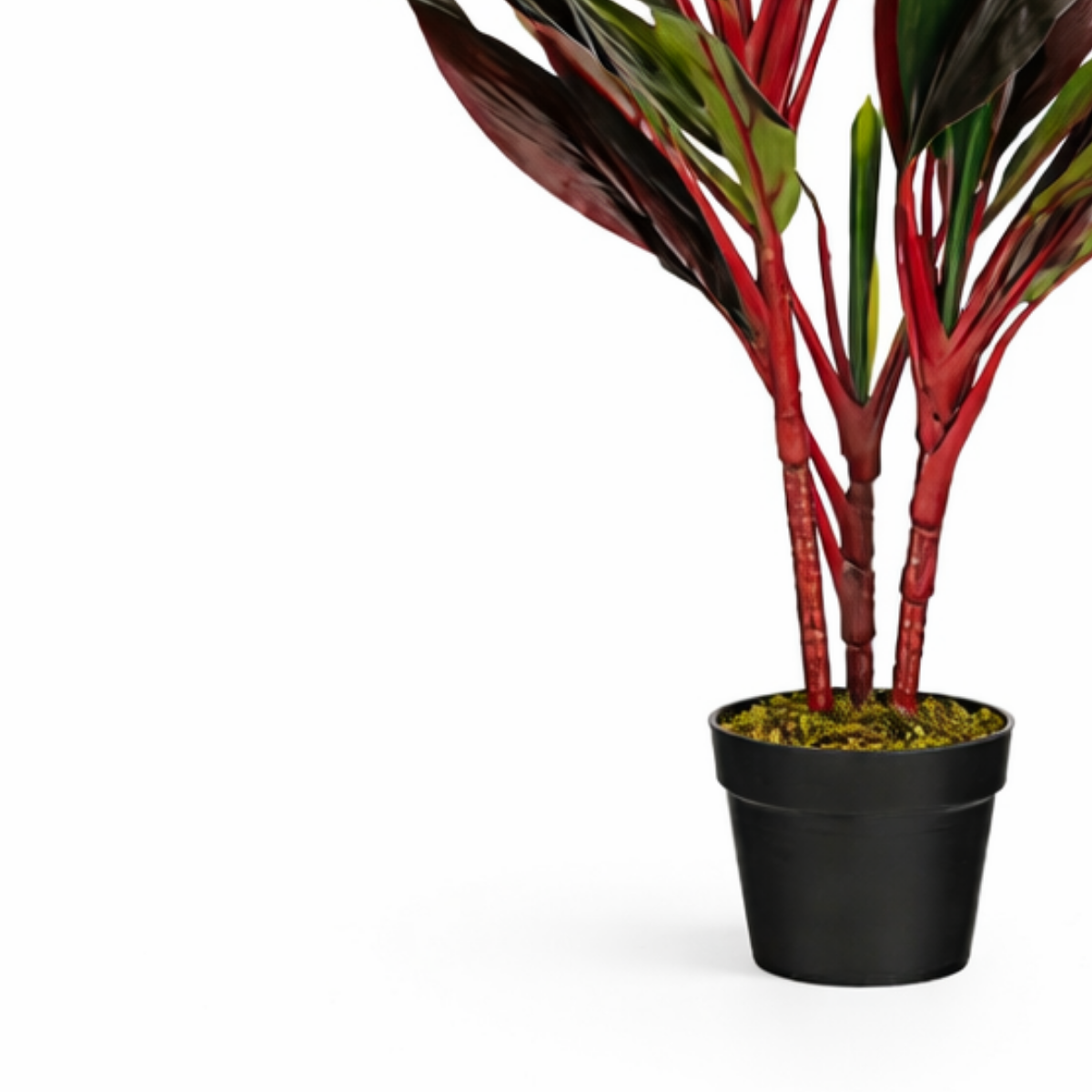 Kunstplant Cordyline Rood Mica Decorations