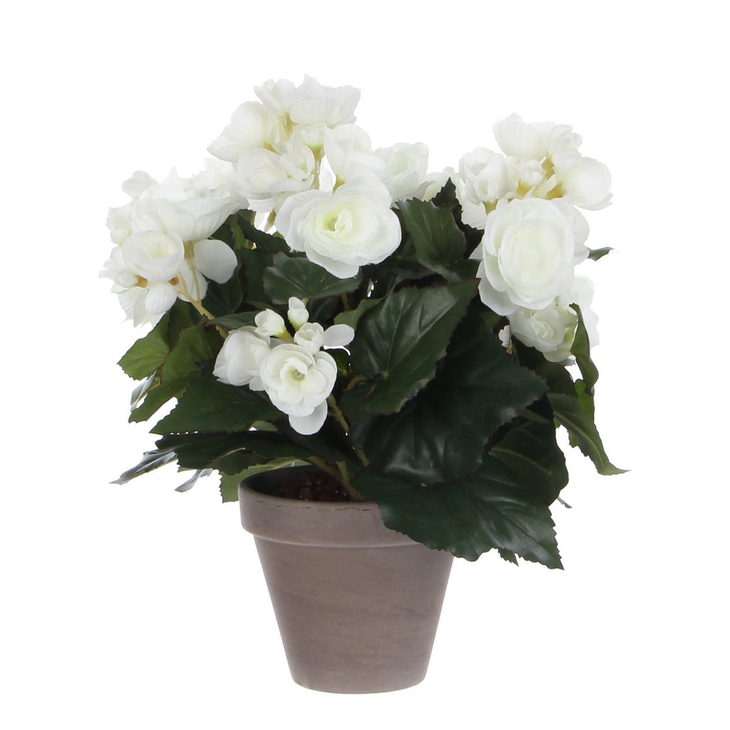 Begonia Kunstplant in Bloempot Stan - H30 x Ø25 cm - Wit