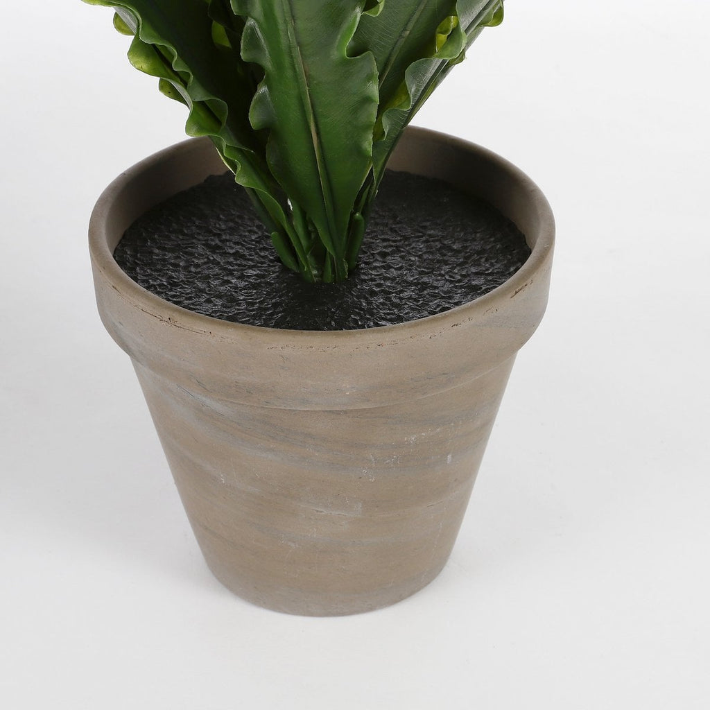 Kunstplant Asplenium Groen Mica Decorations
