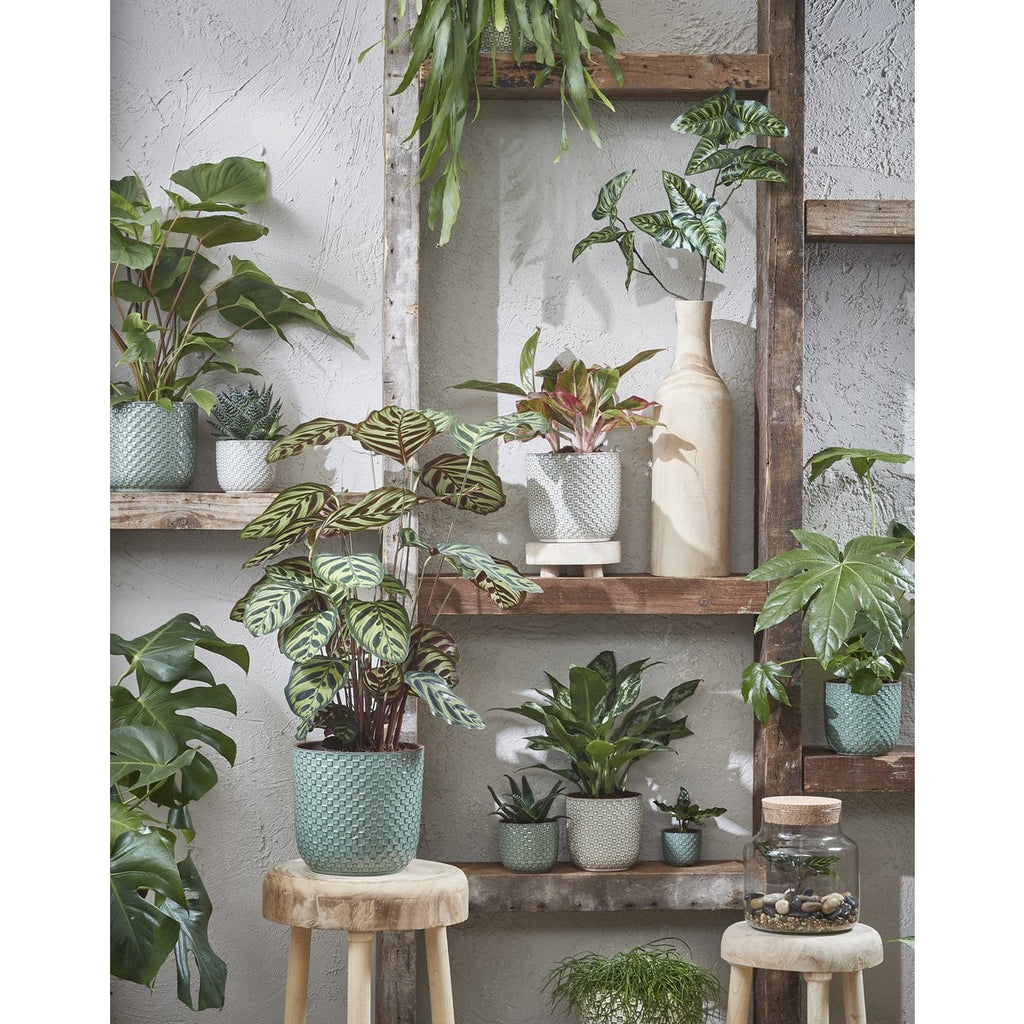 Bloempot binnen Daan Wit Mica Decorations