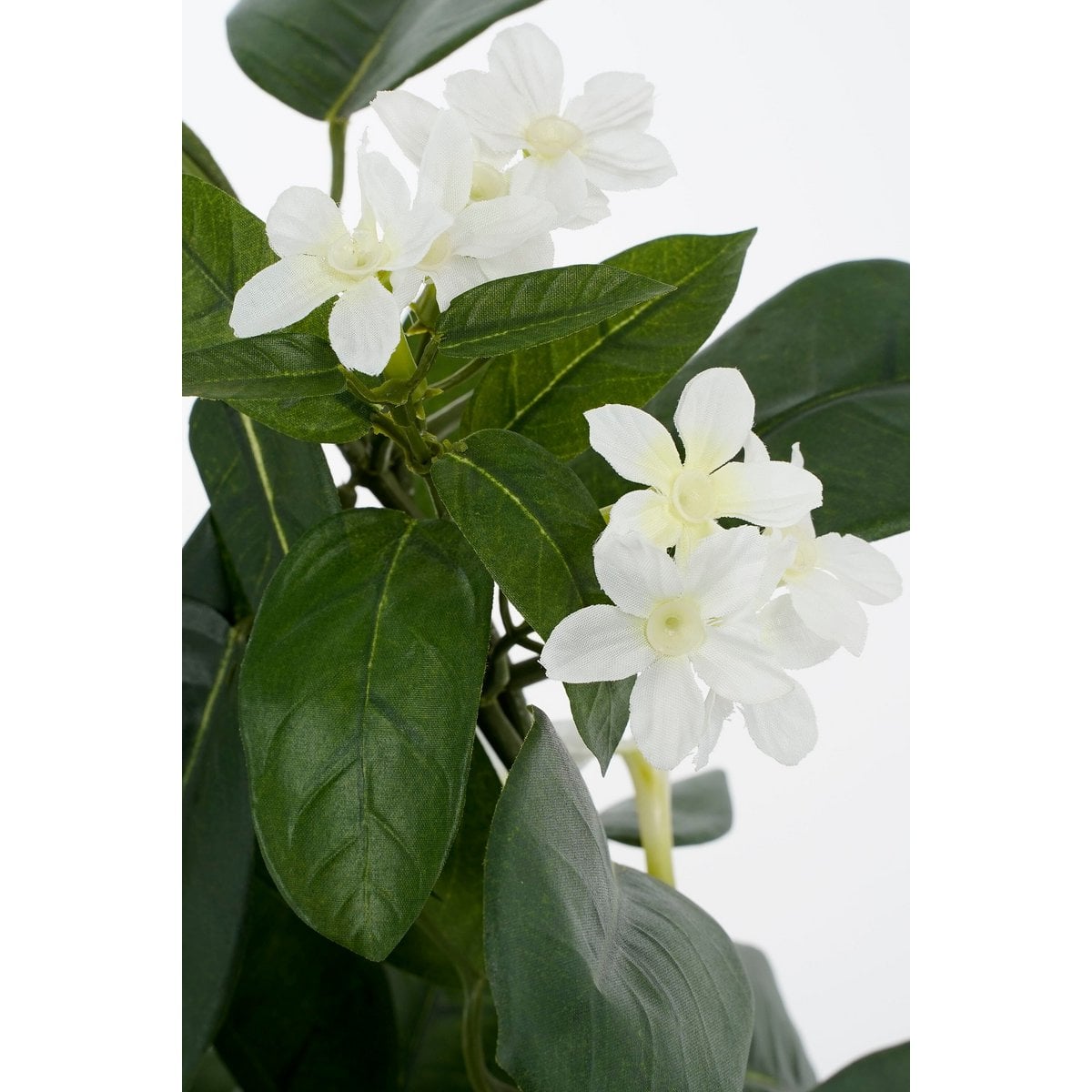 Kunstplant Stephanotis Wit Mica Decorations