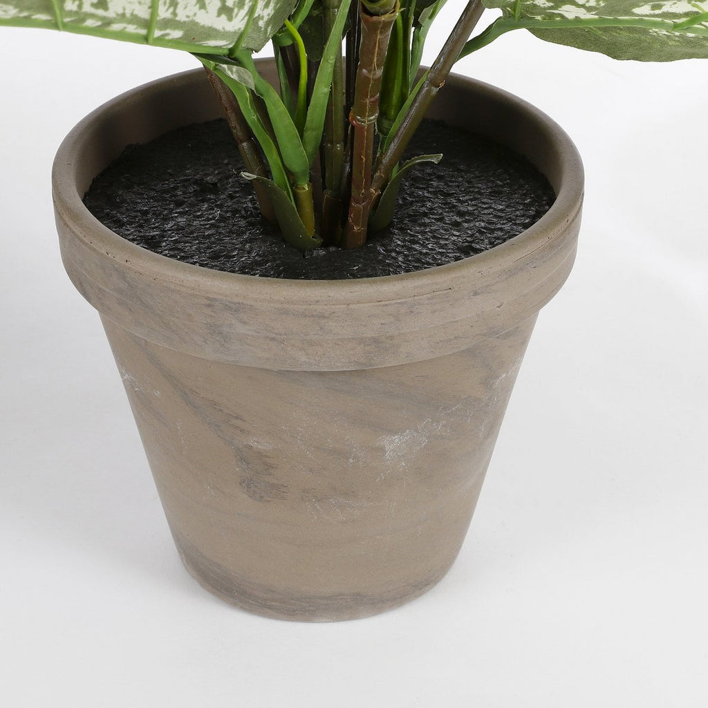 Kunstplant Dieffenbachia Groen Mica Decorations