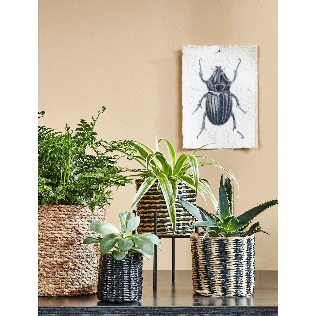Plantenmand set Atlantic Lichtbruin Mica Decorations