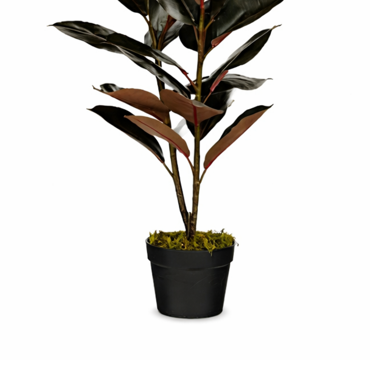 Kunstplant Rubberplant Rood Mica Decorations