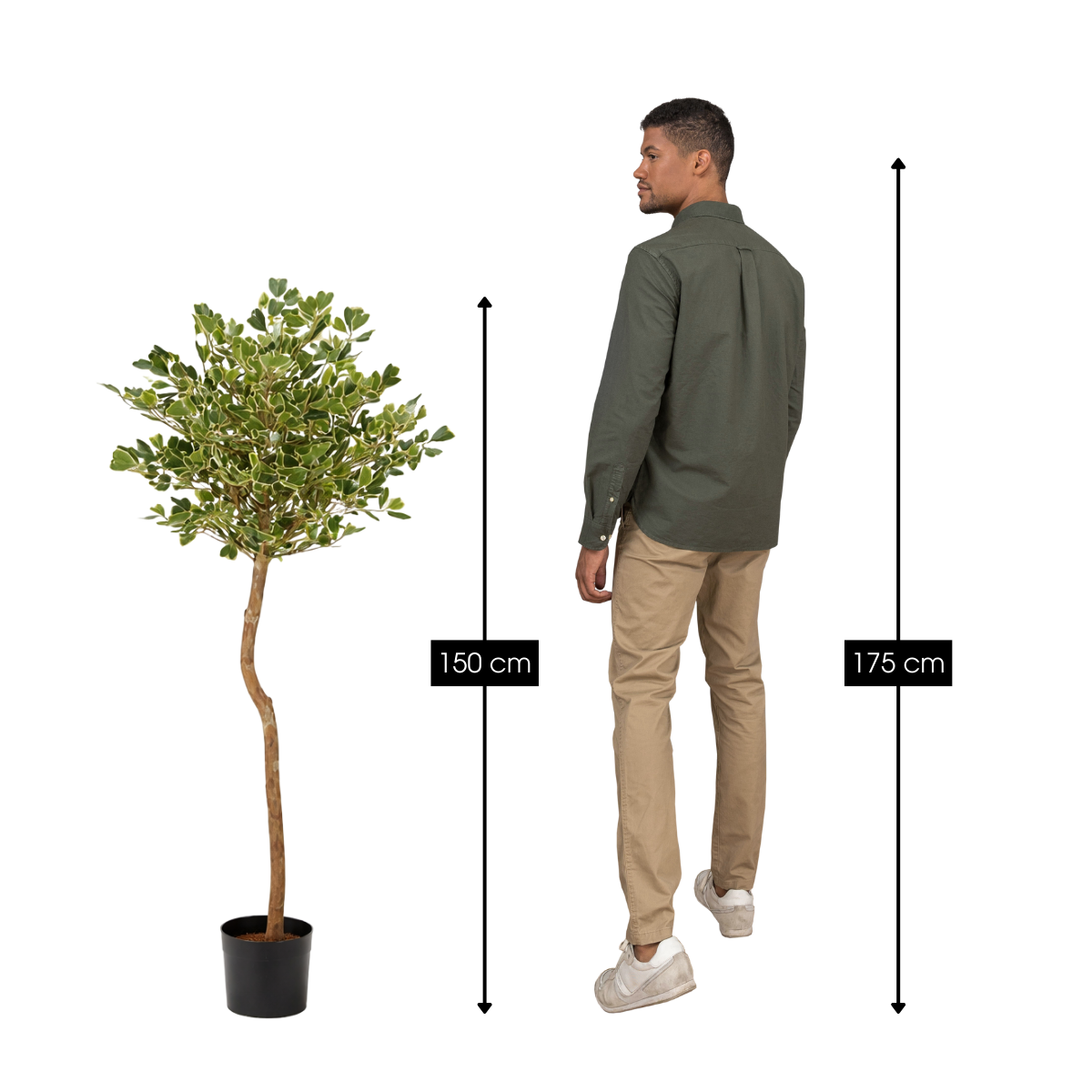 Kunstplant Ficus Groen Mica Decorations