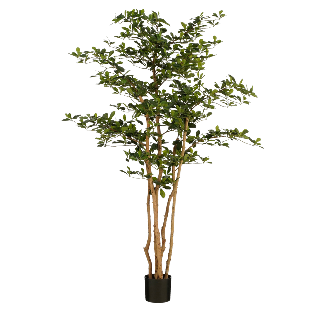 Kunstplant Olijfboom in Pot - H183 x Ø130 cm - Groen