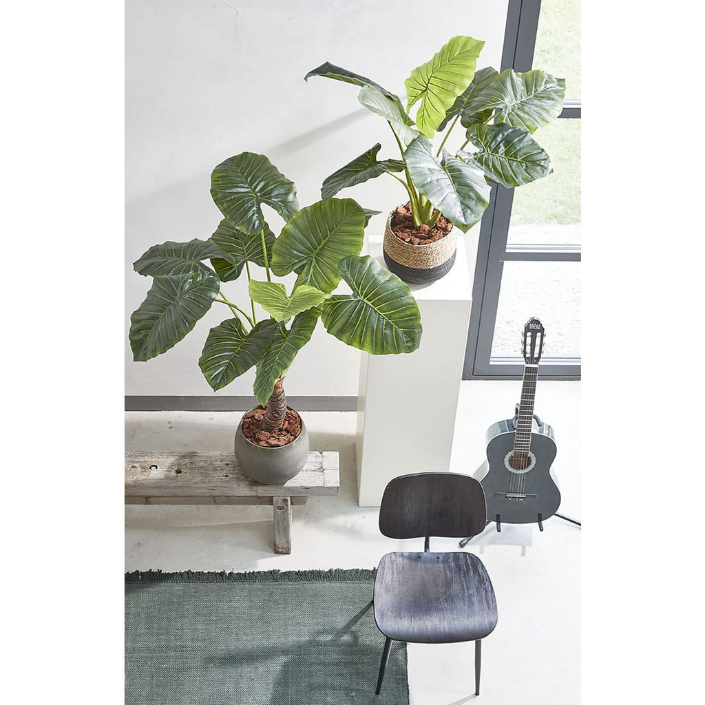 Kunstplant Taro Groen Mica Decorations
