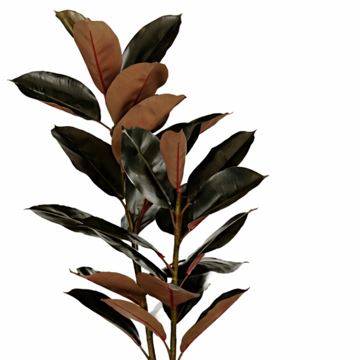 Kunstplant Rubberplant Rood Mica Decorations