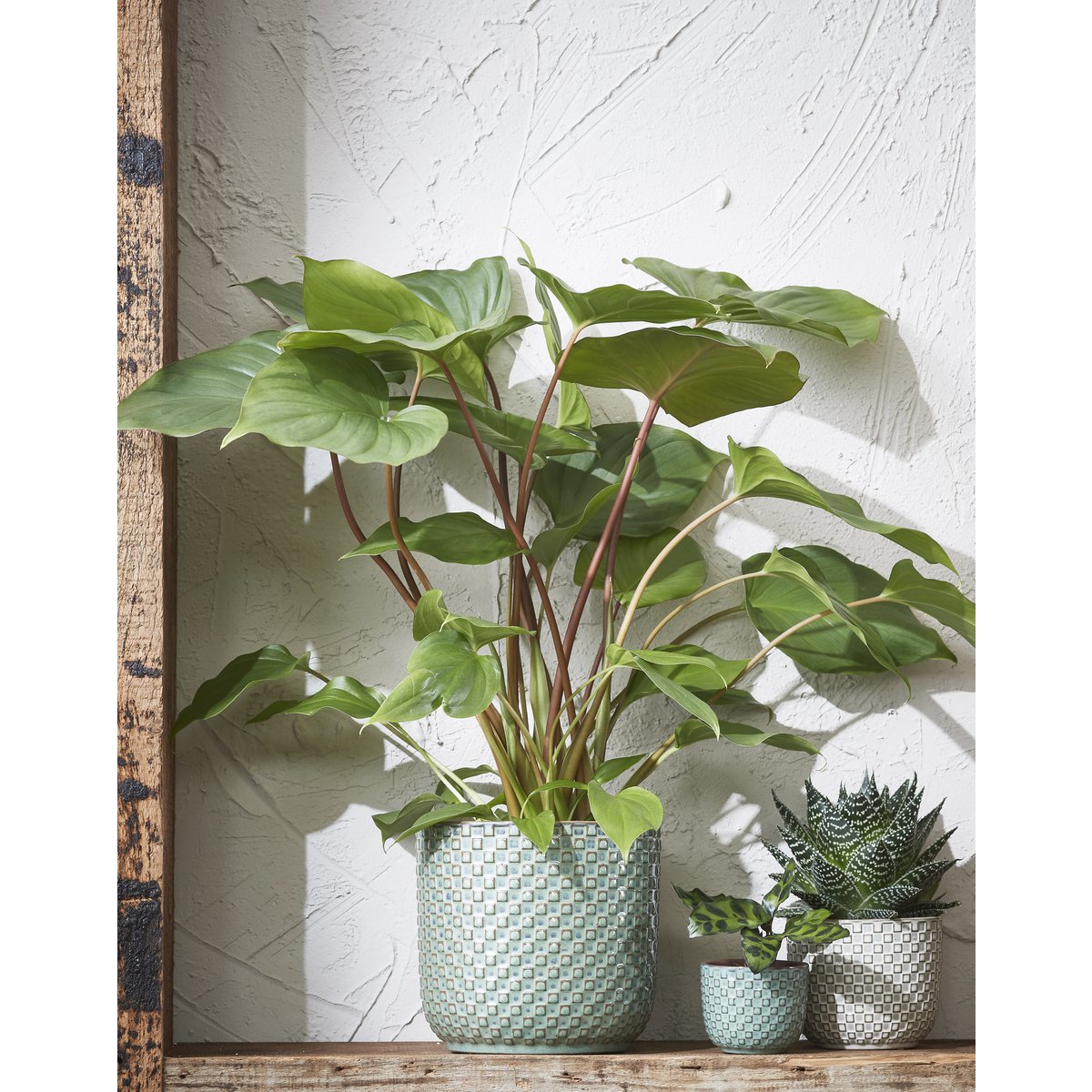 Daan Bloempot - H18 x Ø19 cm - Groen