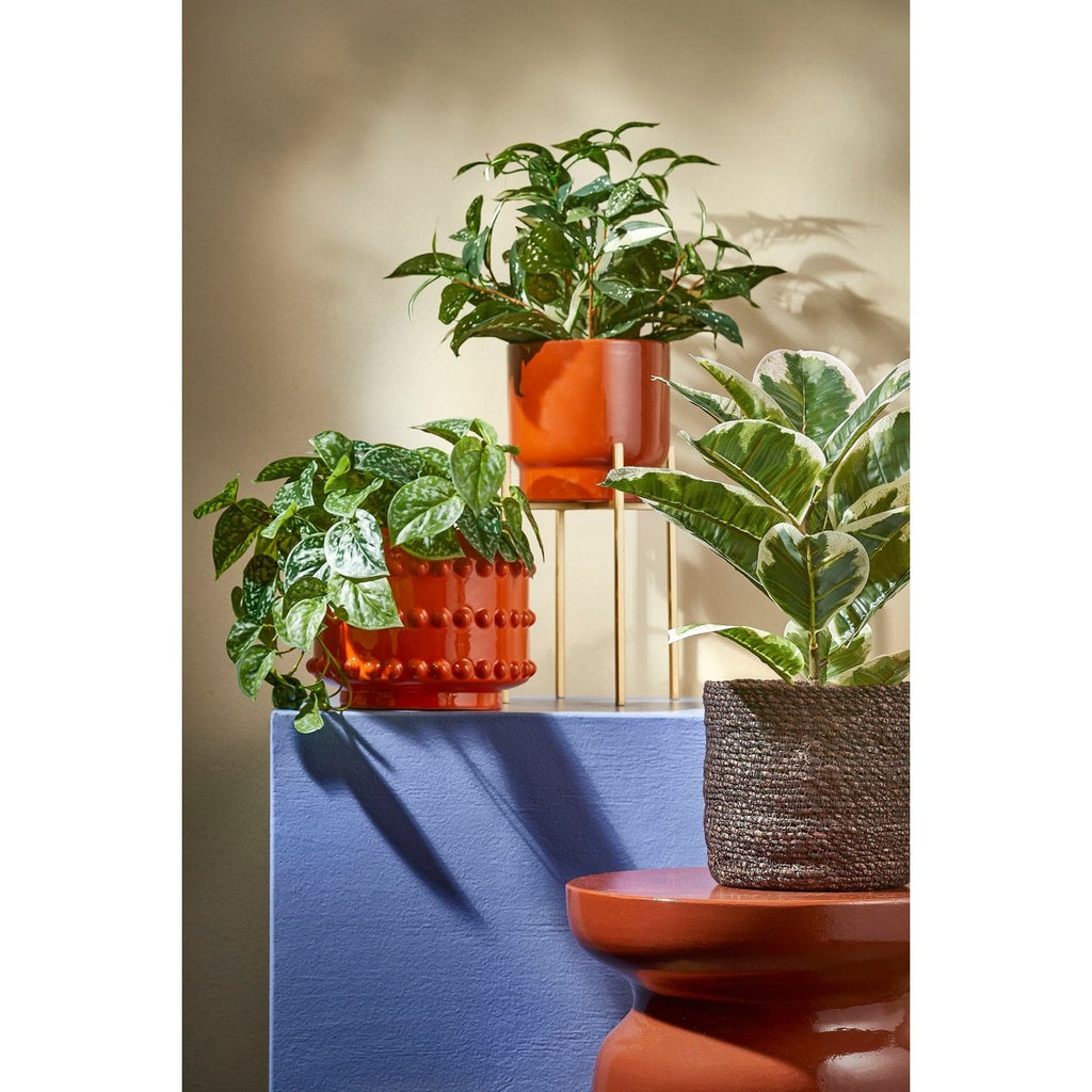 Kunst hangplant Scindapsus Groen Mica Decorations
