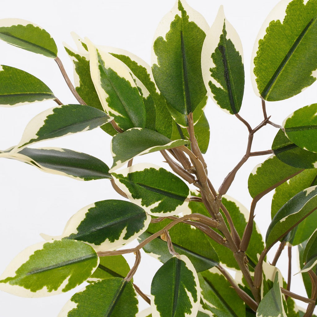 Kunstplant Ficus natasja Groen Mica Decorations